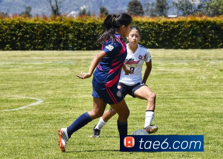 开云体育世界杯精彩赛事全解析与最新赛程动态报道